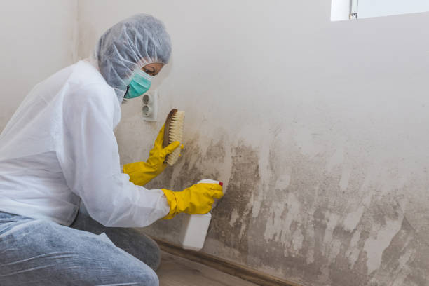 Best Residential Mold Removal  in Frazeysburg, OH