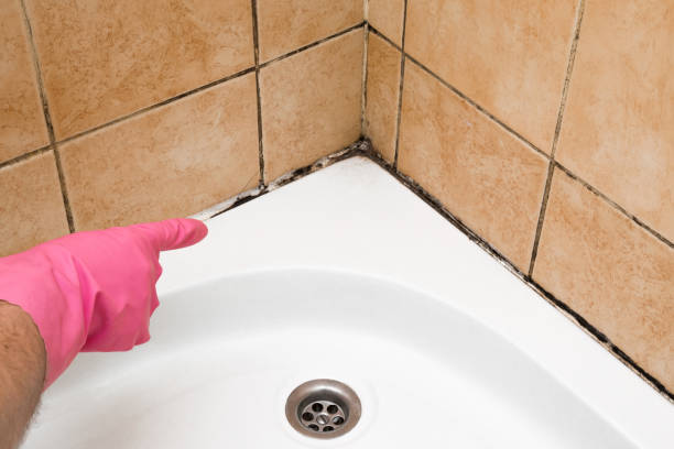 Best Office Mold Removal Services  in Frazeysburg, OH